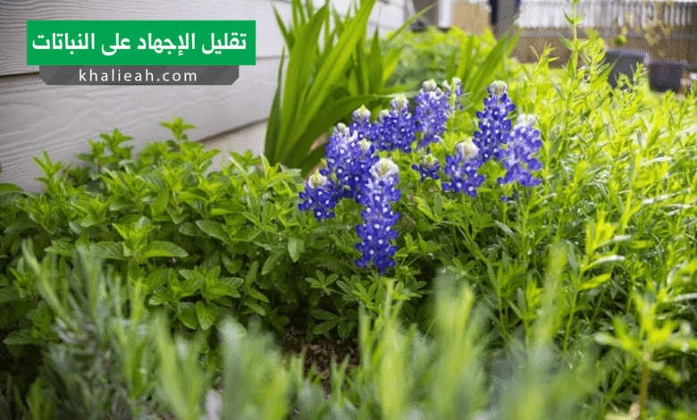 تقليل الإجهاد على النباتات