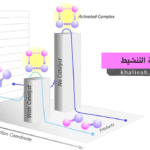 طاقة التنشيط