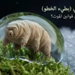 صورة غلاف مجهرية واقعية لدب مائي داخل قطرة ماء على طحلب مع إيحاء بالفضاء والجليد