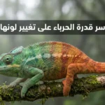 غلاف أفقي لحرباء على غصن بتدرج لوني من الأخضر إلى الأحمر مع عنوان “سر قدرة الحرباء على تغيير لونها”.