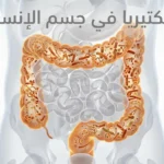 البكتيريا في جسم الإنسان