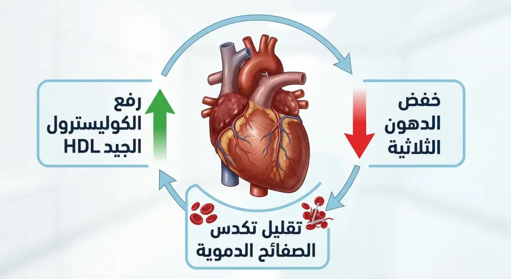 رسم توضيحي طبي يُظهر قلباً بشرياً وحوله ثلاث آليات لحماية أوميغا 3 للقلب تشمل خفض الدهون الثلاثية ورفع الكوليسترول الجيد وتقليل تكدس الصفائح الدموية