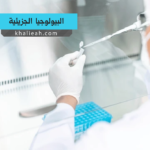 البيولوجيا الجزيئية