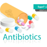 المضادات الحيوية