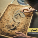 علم الآثار الحيواني