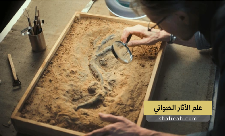 علم الآثار الحيواني