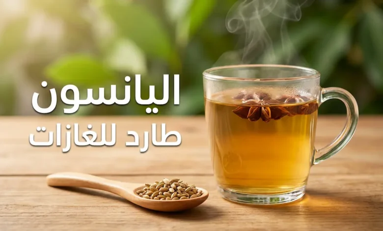 كوب زجاجي يحتوي على منقوع اليانسون الدافئ مع بذور اليانسون وعبارة "اليانسون طارد للغازات