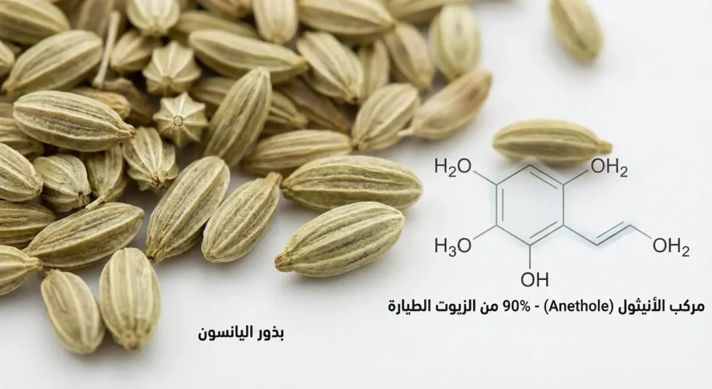  بذور اليانسون البنية الفاتحة مع رسم توضيحي للتركيب الجزيئي لمركب الأنيثول الذي يُشكّل 90% من الزيوت الطيارة