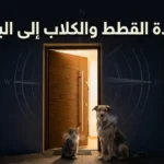 قطة وكلب أمام باب منزل مضاء ليلًا مع عنوان الغلاف «عودة القطط والكلاب إلى البيت».