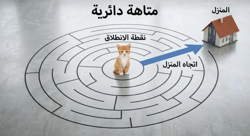 رسم علمي لمتاهة دائرية وقطة عند نقطة الانطلاق وسهم يوضح اتجاه المنزل.

