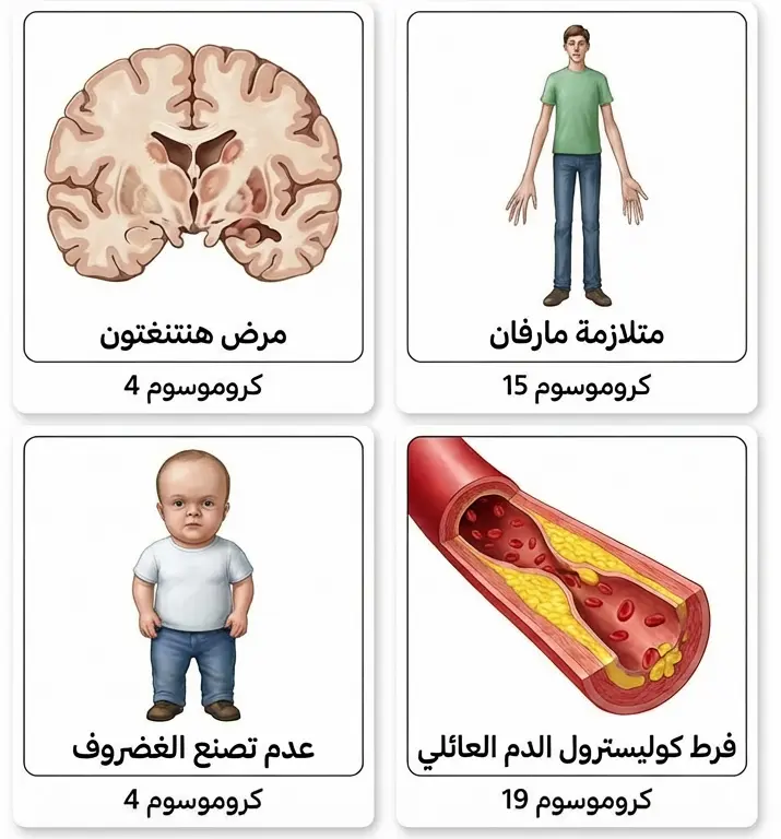أربعة أمراض وراثية سائدة شائعة: هنتنغتون ومارفان والقزامة وفرط الكوليسترول العائلي
