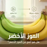 غلاف يوضح مقارنة بين الموز الأخضر والموز الأصفر وتأثير النضج على النشا والسكريات