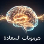 صورة توضيحية لدماغ بشري شفاف متوهج تظهر فيه مسارات عصبية مضيئة بألوان ذهبية وزرقاء مع جزيئات النواقل العصبية المتدفقة، وفي الأسفل عبارة هرمونات السعادة