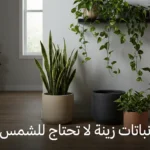 مجموعة من نباتات الزينة الداخلية مثل السانسيفيريا والبوتس وزنبق السلام موضوعة في زاوية غرفة معيشة عصرية ذات إضاءة طبيعية خافتة