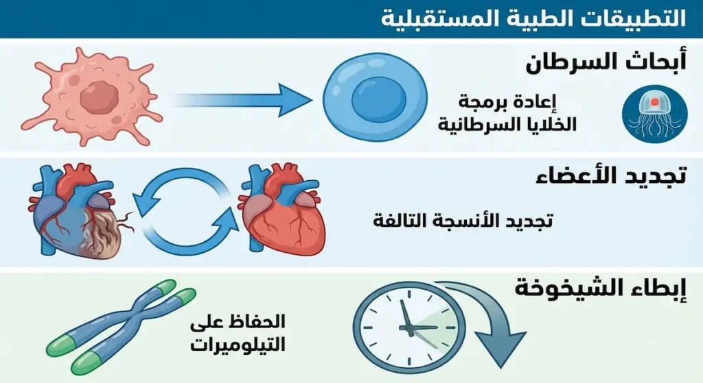 رسم توضيحي يُظهر ثلاثة تطبيقات طبية محتملة: إعادة برمجة الخلايا السرطانية، تجديد الأنسجة التالفة، والحفاظ على التيلوميرات لإبطاء الشيخوخة