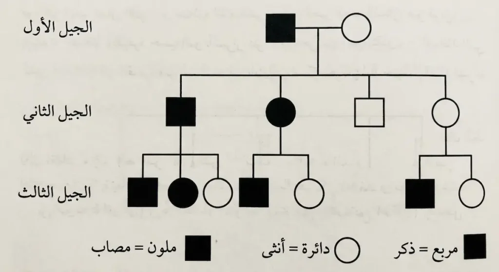 شجرة عائلة وراثية من ثلاثة أجيال تُظهر نمط انتقال صفة سائدة