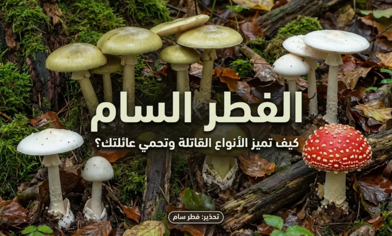 غلاف يظهر فطراً برياً في غابة بعد المطر مع عنوان "الفطر السام بالصور" وتحذير من الفطر السام
