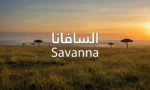 غلاف واقعي لبيئة السافانا عند الغروب مع كلمة السافانا مكتوبة بوضوح