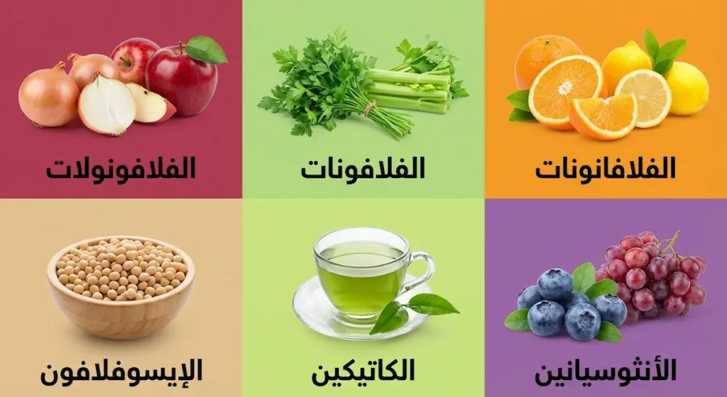 مخطط توضيحي يُظهر الأنواع الستة للفلافونويدات وهي الفلافونولات والفلافونات والفلافانونات والإيسوفلافون والكاتيكين والأنثوسيانين مع صور مصادرها الغذائية