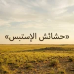 منظر واقعي لسهول حشائش الإستبس شبه الجافة مع أعشاب قصيرة وسماء واسعة