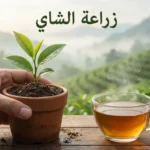 غلاف واقعي يوضح زراعة الشاي من شتلة في أصيص إلى كوب شاي مع عنوان “زراعة الشاي”.
