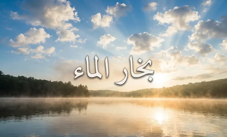 صورة غلاف تُظهر بحيرة صباحية مع ضباب متصاعد وسحب في السماء تمثل دورة بخار الماء في الطبيعة