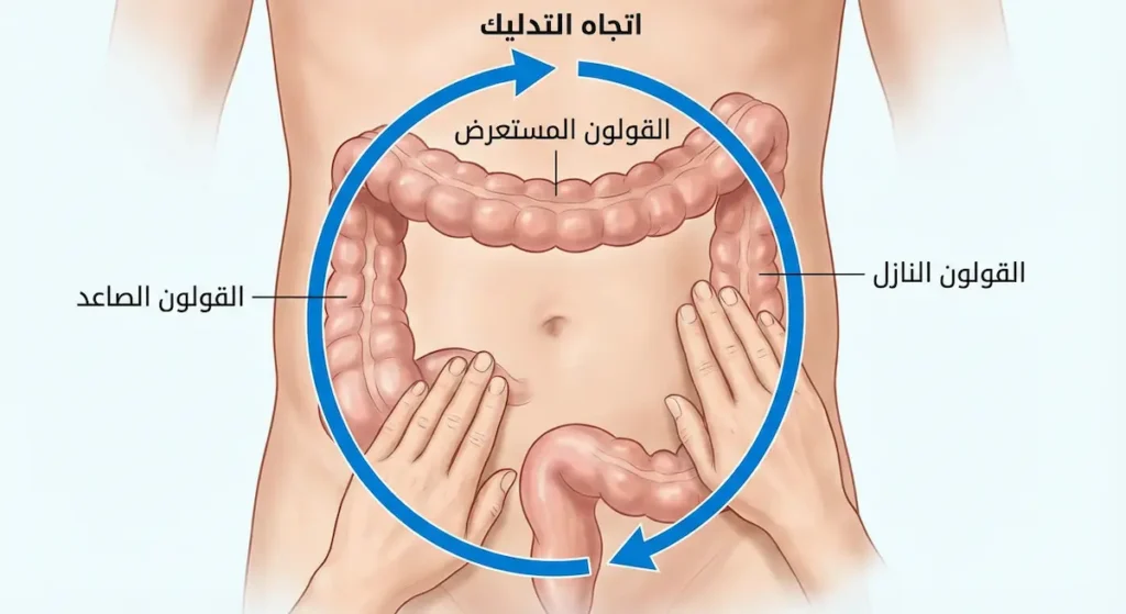  رسم توضيحي يُظهر اتجاه التدليك البطني في اتجاه عقارب الساعة متبعاً مسار القولون