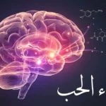 صورة ثلاثية الأبعاد لدماغ بشري مضاء بألوان دافئة تُظهر مناطق المكافأة النشطة مع جزيئات كيميائية وعنوان كيمياء الحب