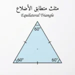 مثلث متطابق الأضلاع بزوايا 60 درجة وأضلاع متساوية مع علامات التطابق
