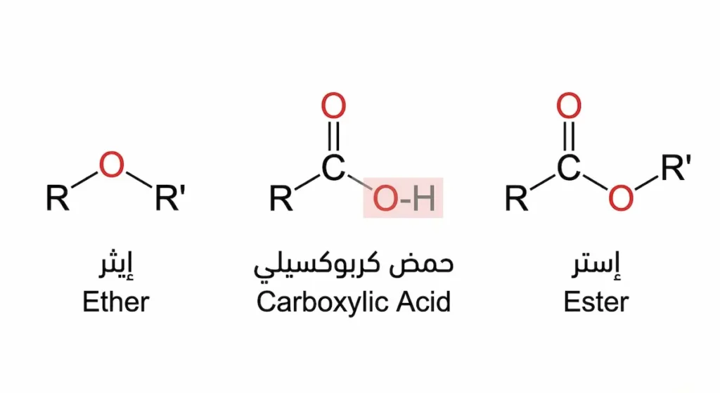 رسم توضيحي يقارن بين البنية الكيميائية لثلاث مجموعات وظيفية وهي الإستر والحمض الكربوكسيلي والإيثر مع إبراز وجود مجموعة الكربونيل في الإستر وغيابها في الإيثر ووجود الهيدروجين الحمضي في الحمض الكربوكسيلي