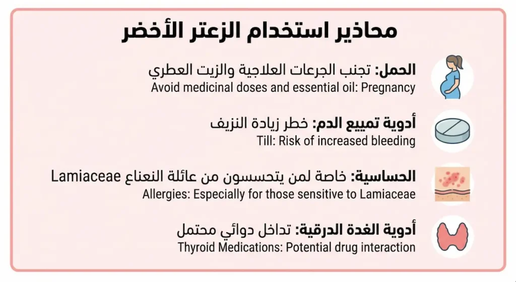 إنفوجرافيك يعرض أربع محاذير رئيسية لاستخدام الزعتر الأخضر تشمل الحمل وأدوية تمييع الدم والحساسية وأدوية الغدة الدرقية