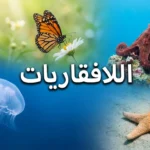 صورة غلاف تُظهر تنوع اللافقاريات تشمل أخطبوطاً على صخرة مرجانية وفراشة مونارك وقنديل بحر شفافاً ونجم بحر برتقالياً مع كلمة اللافقاريات في المنتصف