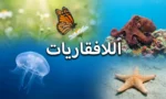 صورة غلاف تُظهر تنوع اللافقاريات تشمل أخطبوطاً على صخرة مرجانية وفراشة مونارك وقنديل بحر شفافاً ونجم بحر برتقالياً مع كلمة اللافقاريات في المنتصف