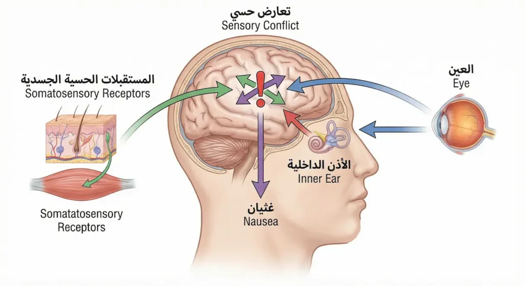رسم توضيحي يُبيّن آلية دوار الحركة من خلال التعارض بين إشارات العين والأذن الداخلية والمستقبلات الحسية الجسدية مما يُسبب الغثيان