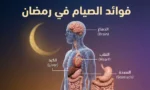 صورة توضيحية تُظهر جسم الإنسان الشفاف مع الأعضاء الداخلية وهلال رمضان، مع عنوان "فوائد الصيام في رمضان