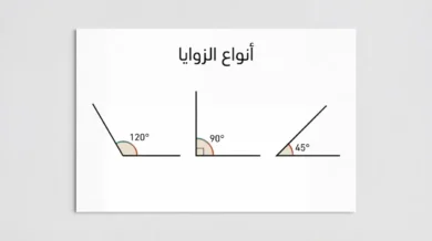 رسم هندسي يوضح ثلاثة أنواع من الزوايا: الزاوية الحادة 45 درجة، والزاوية القائمة 90 درجة، والزاوية المنفرجة 120 درجة، مرتبة على خلفية فاتحة مع عنوان أنواع الزوايا