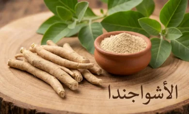 جذور عشبة الأشواجندا الطازجة بجانب مسحوقها في وعاء فخاري وأوراقها الخضراء على سطح خشبي بإضاءة طبيعية