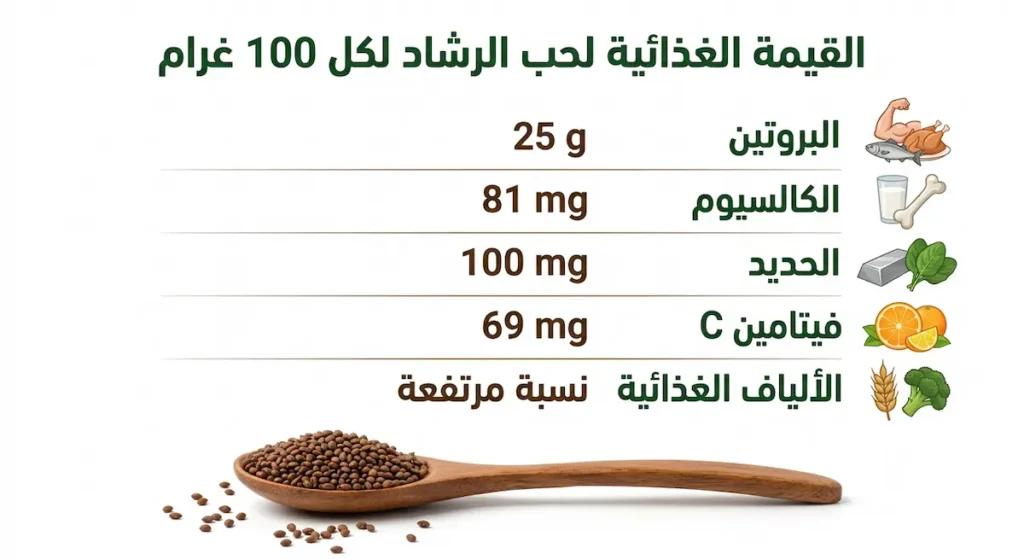 إنفوغرافيك يوضح التركيب الغذائي لكل 100 غرام من بذور حب الرشاد يشمل البروتين والكالسيوم والحديد وفيتامين C والألياف الغذائية