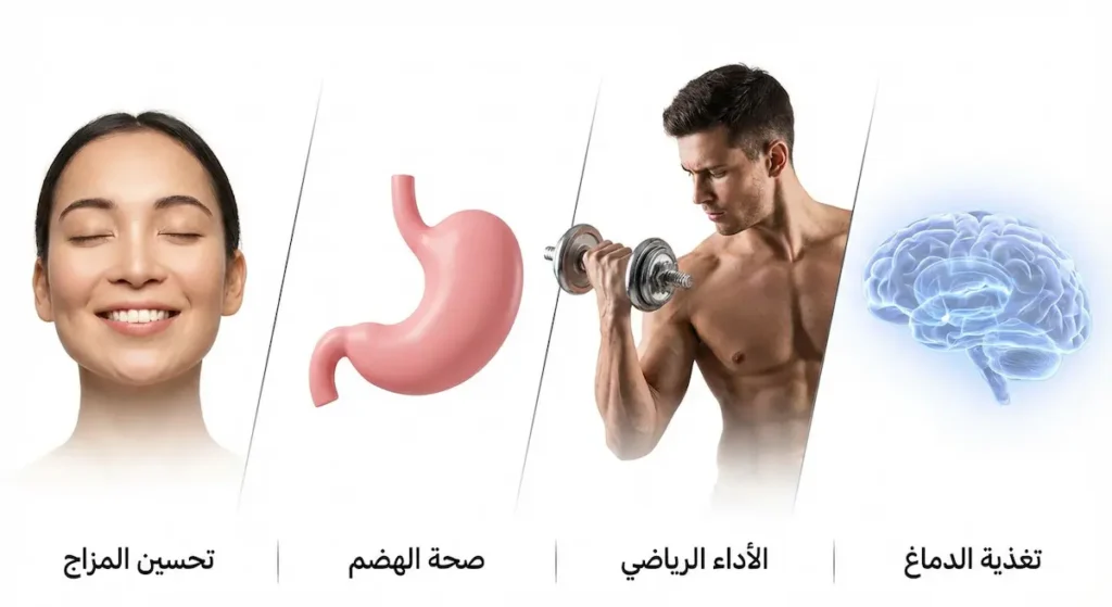 أربع فوائد للكربوهيدرات الصحية: تغذية الدماغ والأداء الرياضي وصحة الهضم وتحسين المزاج