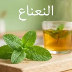 أوراق نعناع فلفلي طازجة خضراء مع قطرات ندى وكوب شاي نعناع في الخلفية مع كلمة النعناع بالعربية