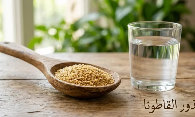 ملعقة خشبية تحتوي على قشور بذور القاطونا الذهبية بجانب كوب ماء زجاجي على سطح خشبي مع كلمة بذور القاطونا