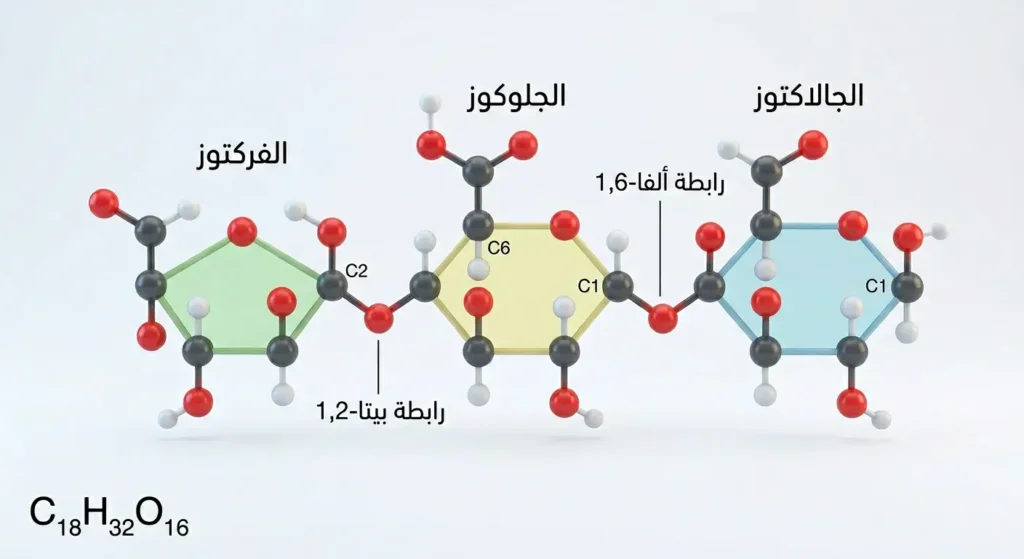 رسم توضيحي ثلاثي الأبعاد يوضح التركيب الجزيئي لسكر الرافينوز المكون من الجالاكتوز والجلوكوز والفركتوز مع الروابط الكيميائية
