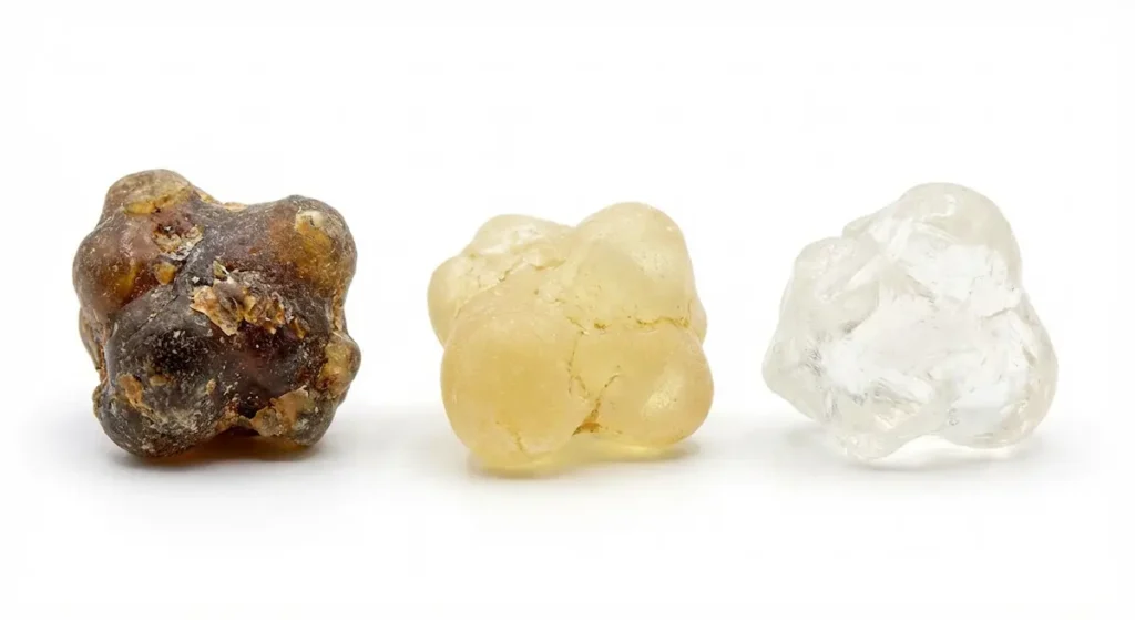 الفرق بين لبان الذكر الأصلي الحوجري والأنواع الأقل جودة والمغشوشة