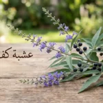 غصن من شجيرة كف مريم يحمل أزهاراً بنفسجية وثماراً كروية داكنة موضوع على سطح خشبي مع نص عربي يقول عشبة كف مريم