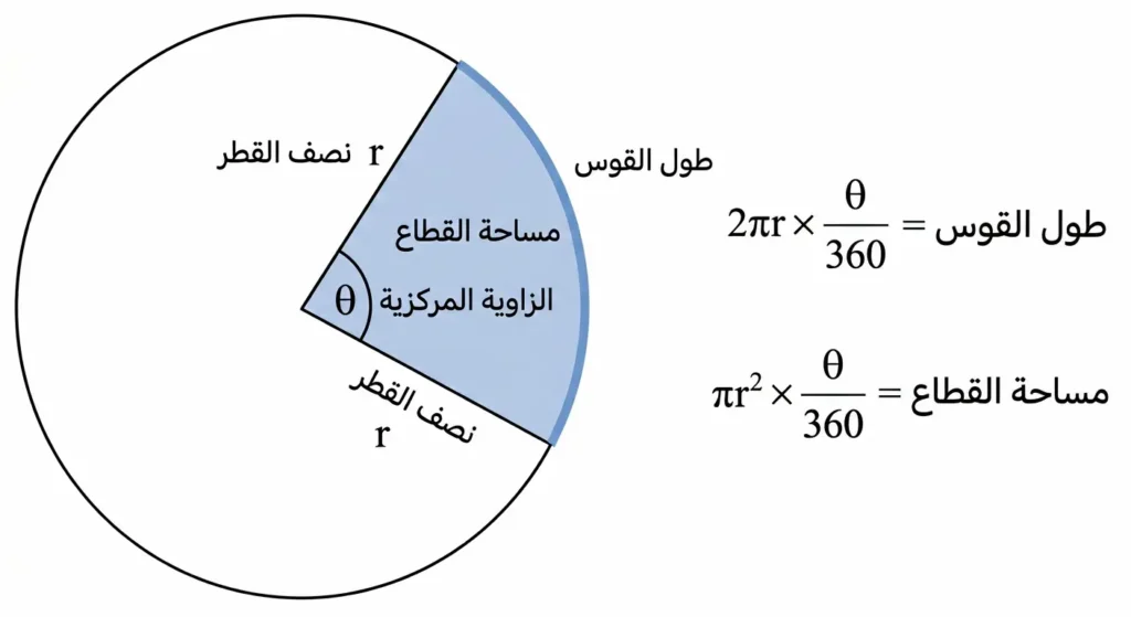 مخطط هندسي يُظهر دائرة مع قطاع دائري محدد بزاوية مركزية مع توضيح طول القوس ومساحة القطاع