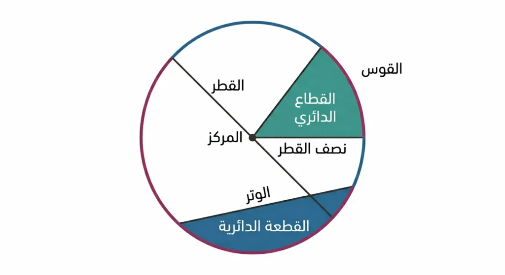 مخطط هندسي واضح يُظهر العناصر الأساسية للدائرة من مركز ونصف قطر وقطر ووتر وقوس وقطاع وقطعة دائرية