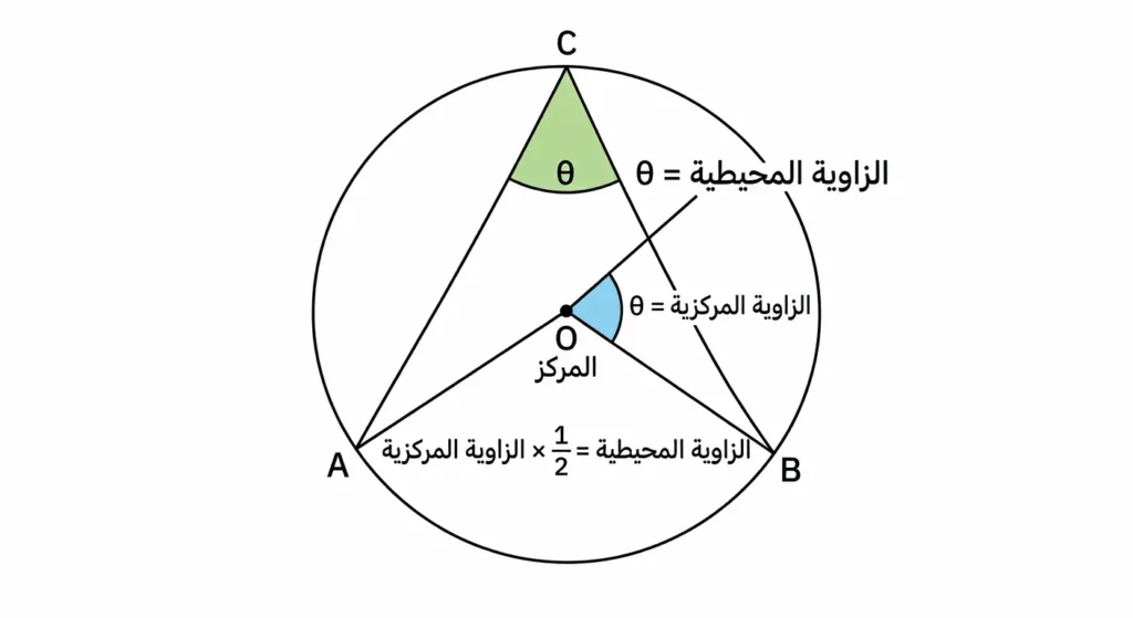  رسم هندسي يُظهر دائرة مع زاوية مركزية ومقابلتها الزاوية المحيطية وإظهار أن الزاوية المحيطية تساوي نصف الزاوية المركزية