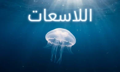 قنديل بحر قمري شفاف يطفو في مياه المحيط الأزرق العميق مع أشعة ضوء تخترق السطح وعنوان اللاسعات بالعربية