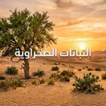 منظر طبيعي واقعي لصحراء الجزيرة العربية عند الساعة الذهبية مع شجرة غاف شامخة ونباتات صحراوية متنوعة وعنوان "النباتات الصحراوية" باللغة العربية