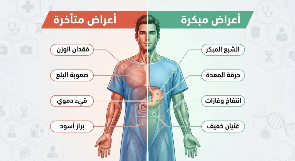 رسم توضيحي يقارن بين الأعراض المبكرة والمتأخرة لسرطان المعدة على جسم الإنسان